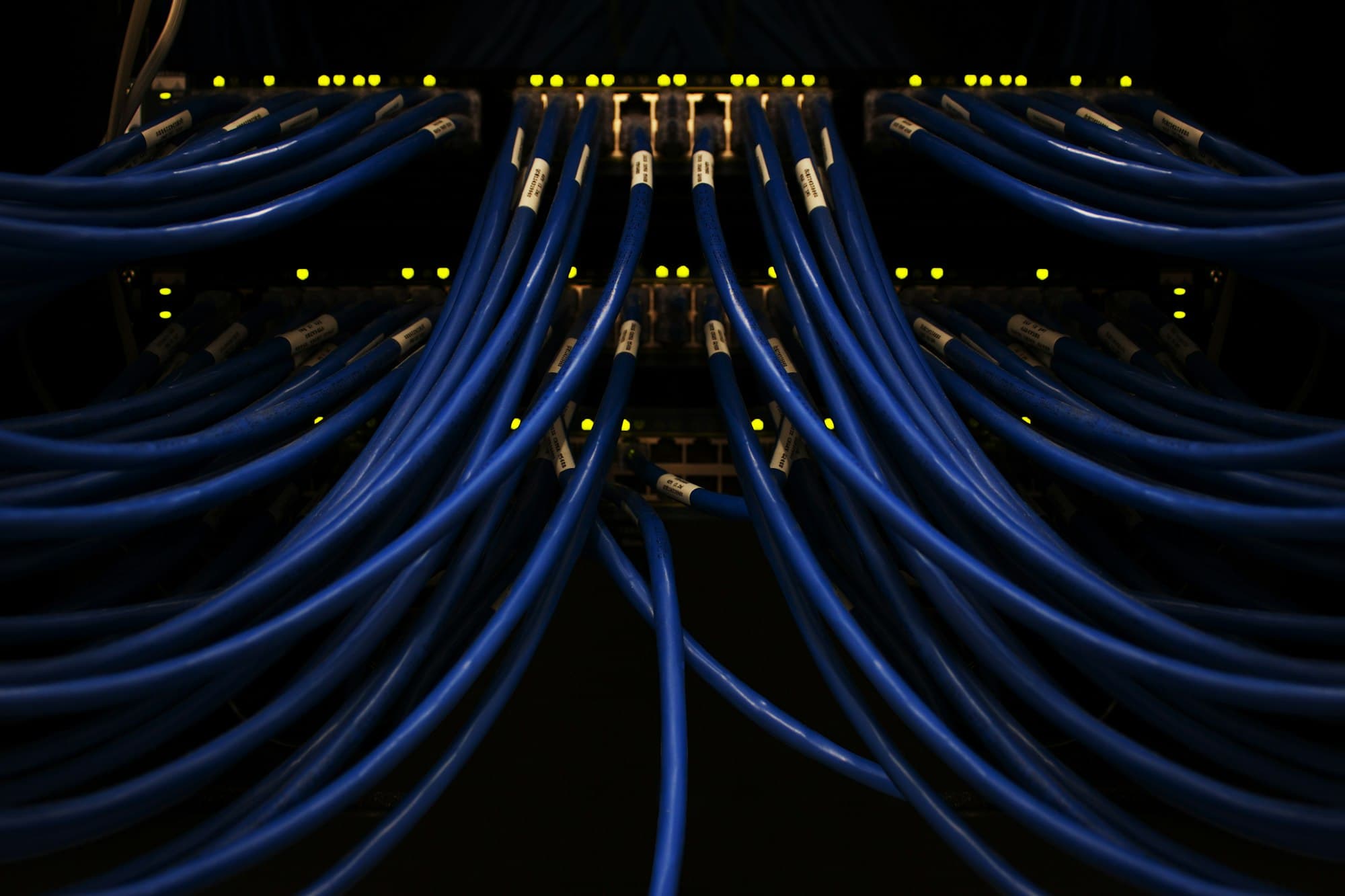 Network cables connected to a patch panel